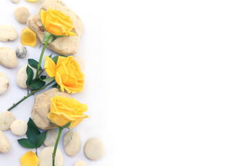 Flower and rose background. Yellow roses with  white stone composition.  Roses and petals isolate on white background. Valentine day concept. Flat lay, top view, copy space