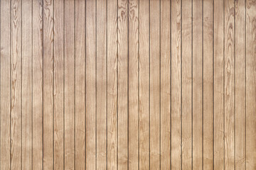 Stylish contemporary wainscoting made of thin light toned ash timber planks as textured background for design close view - 436795852