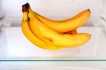 A bunch of bananas on shelf in fridge