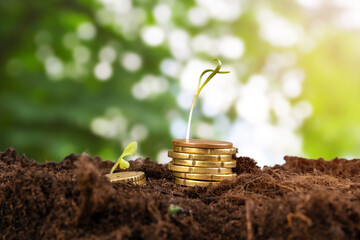 Euro coins and plant sprouts, financial growth concept