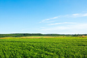 Green field under blue sky with clouds