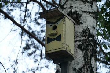 bird house on tree