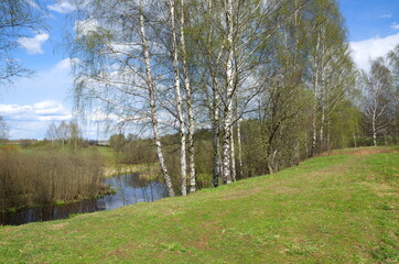 Fototapeta na wymiar Spring landscape with birch trees on the river bank in early May
