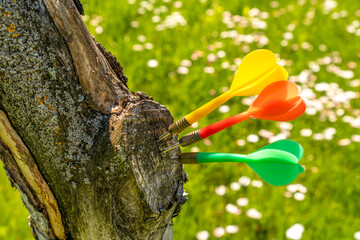 Multi-color darts hitting a tree trunk