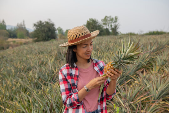 Asian female farmer see growth of pineapple in farm, Young pretty farmer woman standing on farmland. Organic farmer checking, agriculture business concept.