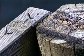 Broken bridge by water