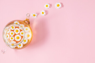 Chamomile herbal tea. Camomile, flowers in glass teapot on pink background. Flat lay, top view,...