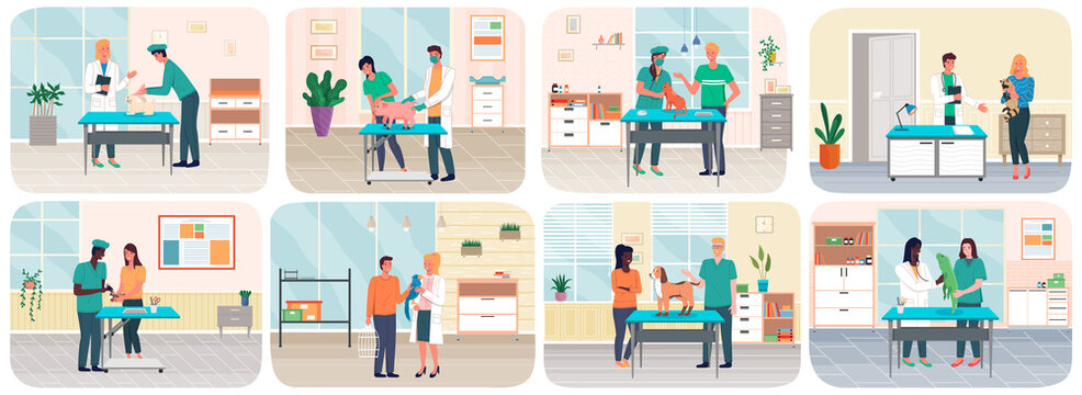 Veterinary care, treatment of pets scenes set. Veterinarian talking to owner in medical office. Visit to vet clinic to check health of pet. Veterinary surgeon helps treat patients domestic animals