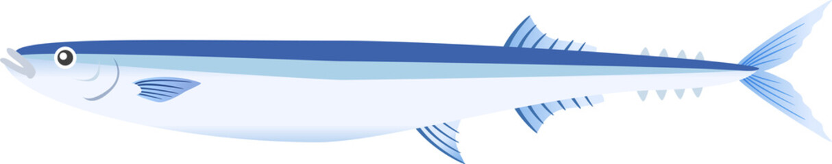 Obraz premium サンマ