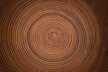 Fototapeta na wymiar beautiful cut tree trunk with annual rings and cracks. wood texture background