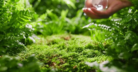 Glass globe in hand,ecology concept, earth day.
