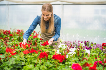 Woman is working in small business greenhouse store. She is examining plants. Female entrepreneur.