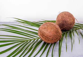 Two coconuts with a palm leaf on a white table