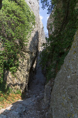 Fototapeta na wymiar Crimea. View of a narrow gorge.
