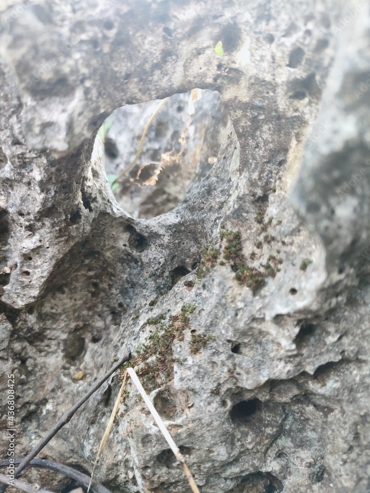 Wall mural rock in the mountains