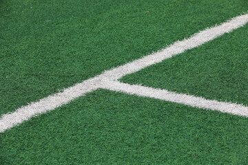 The white line is on the green lawn