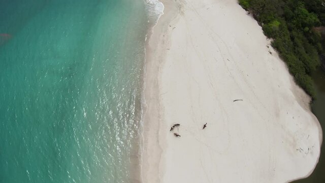 Costa Rica Beach next to W Hotel Reserva Conchal. Shot on DJI FPV. Top down tilt down to the horses shot.