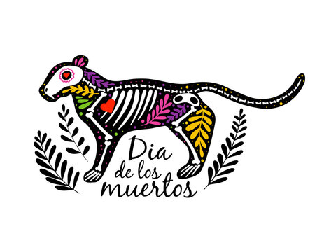 Vector colorful postcard. Dia de los Muertos design, Day of the dead or Halloween concept. Tiger or big cat skeleton with text and leaves, isolated on white background
