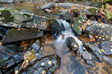 Arroyo del Sestil en Canencia. Madrid. España. Europa.