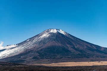 Fototapeta premium 富士山