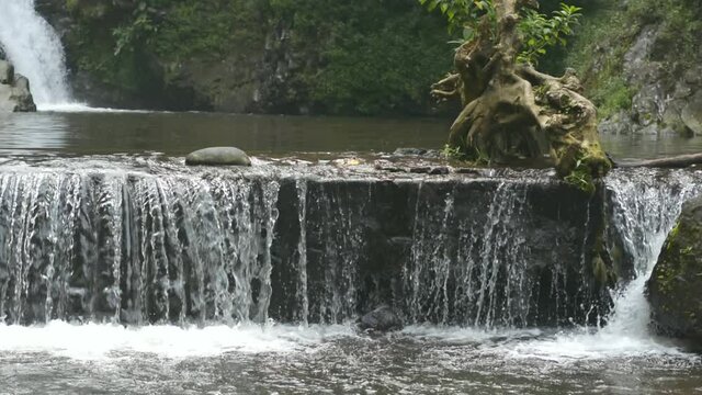 beautiful waterfall in the midle of forest