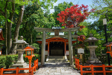 京都　八坂神社　太田社　白髭社