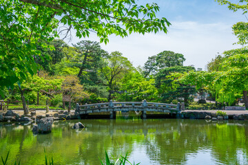 Fototapeta na wymiar 京都　円山公園の新緑