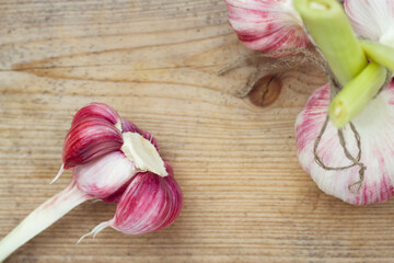 Fresh summer garlic on a wooden board close up. Organic vegetables and spices for healthy and tasty eating. Eco food concept.