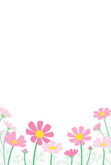 コスモスがたくさん咲いている風景のメッセージカード　はがきサイズ縦型