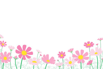 Obraz na płótnie Canvas コスモスがたくさん咲いている風景のメッセージカード　はがきサイズ横型