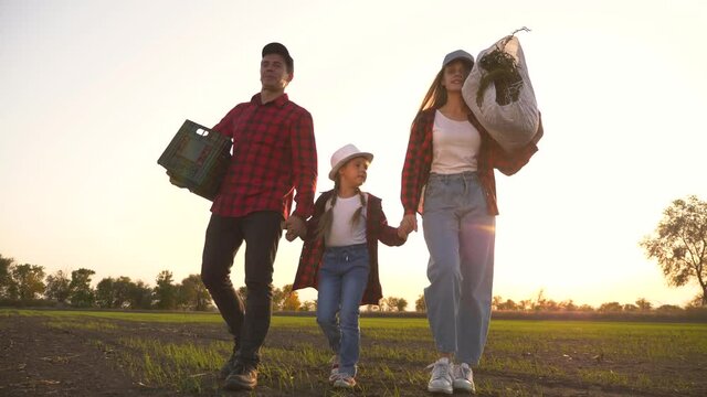 Farmer and happy family. Senior farmer in wheat field with box of vegetables. Happy family in field at sunset. Senior farmer with his family is harvesting. Happy family hiking. Farmer checks the crop
