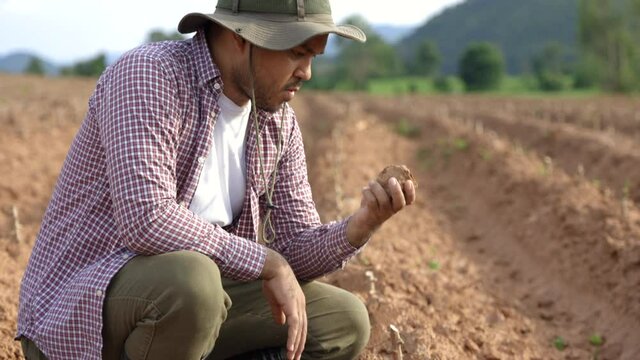 Smart farmer checks quality of soil before sowing. The farmer tests soil the growth quality of seedling.Agriculture concept.
