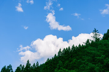 梅雨の晴れ間