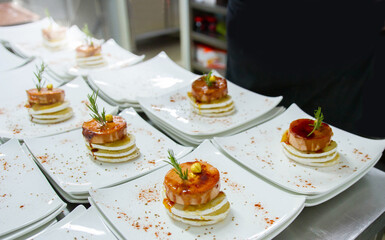 Elaboration of design dishes. Scenes of real teamwork by great Spanish professionals of gourmet haute cuisine for social events