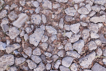 The texture of cracked soil. Rocky road.