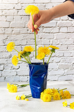Woman's hand arranging dandelions in a blue cup