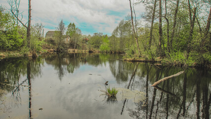 nature of Russia spring river