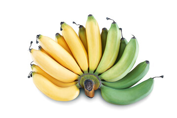Beautiful bunch of bananas on wooden background.