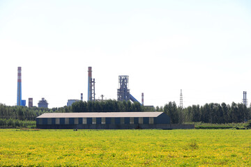 Green peanut fields and industrial buildings in the distance, North China