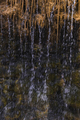 water flowing in the forest