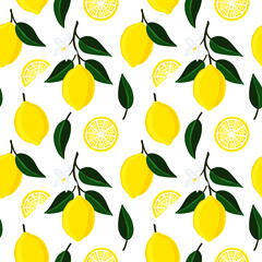 Lemon seamless pattern. Italian  yellow lemons. Vector.