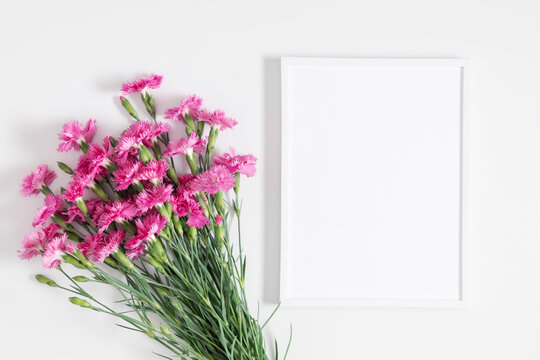 Pink carnation flowers and photo frame on white background. Flat lay, top view, copy space