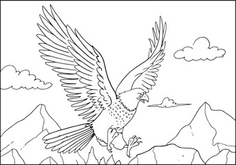 Vector illustration of black and white an eagle contour