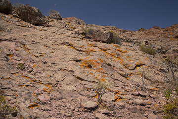 Gran Canaria, landscape of the western part of the island along a hiking route called The Postman...