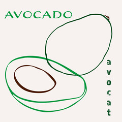 Avocado line art hand-drawn multicolor modern vector illustration. Colorful line art exotic fruit design.