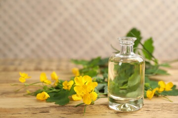 Bottle of natural celandine oil near flowers on wooden table, space for text