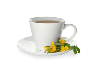 Cup of aromatic celandine tea and flowers on white background