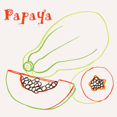 Papaya line art hand-drawn multicolor modern vector illustration. Colorful line art exotic fruit design.