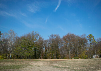 Beautiful Landscape on the Edge of the Forest