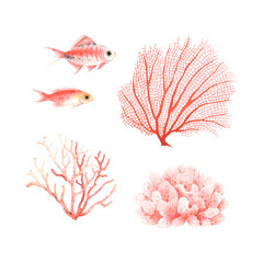 Corals set with abstract fishes, red underwater  watercolor collection of marine symbols, hand painting elements for your design, beautiful sea decors. © Nikole